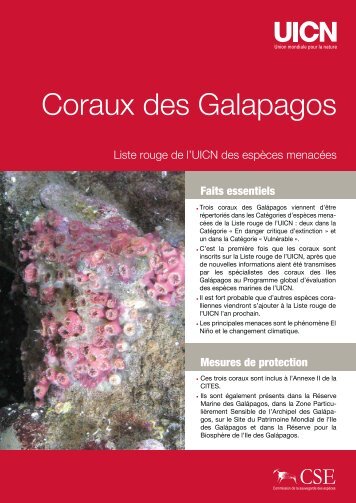 coraux des îles Galápagos - CIESM