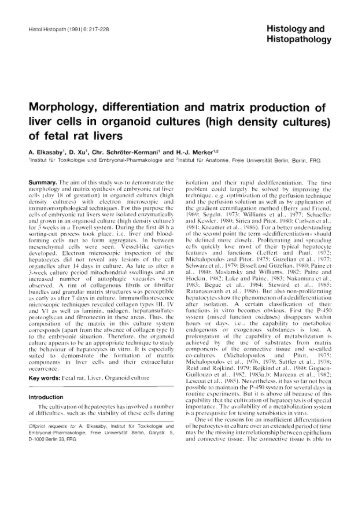 of fetal rat liver - Digitum