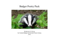 Badger Poetry Pack 1