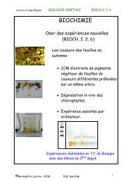 LES COULEURS DE L'AUTOMNE - scienceonstage.be