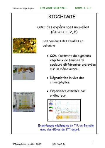 LES COULEURS DE L'AUTOMNE - scienceonstage.be