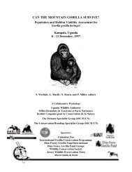 Mountain Gorilla PHVA (1997).pdf - Conservation Breeding ...