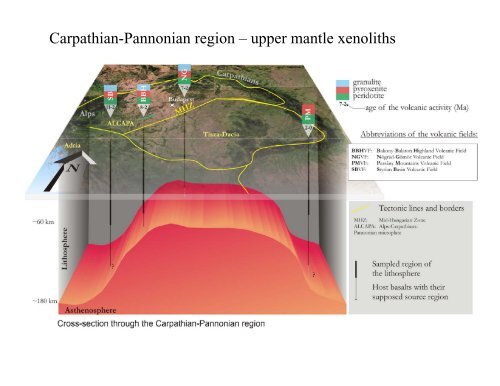 Silicate melt inclusions in mantle xenolith