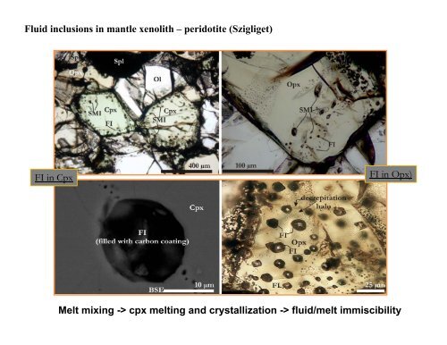Silicate melt inclusions in mantle xenolith