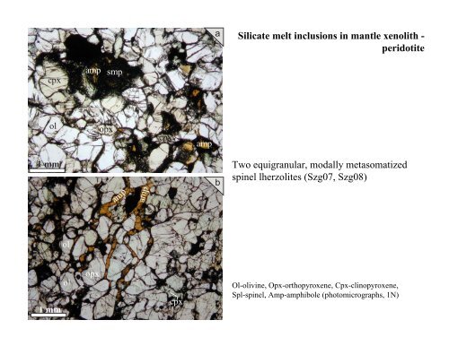 Silicate melt inclusions in mantle xenolith