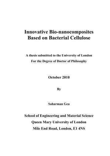 Innovative Bio-nanocomposites Based on Bacterial Cellulose