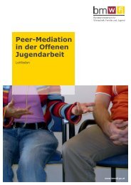 Peer-Mediation in der Offenen Jugendarbeit - Leitfaden - BMWA