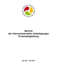 IMAG - Bericht der Arbeitsgruppe Prozessbegleitung 2007 - BMWA