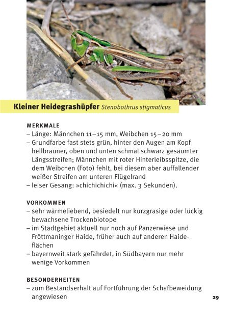 Heuschrecken in München - Bund Naturschutz