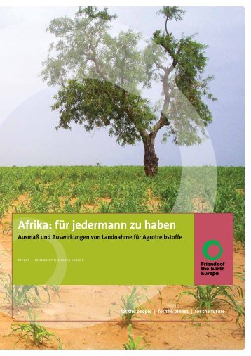 Afrika – für jedermann zu haben: Ausmaß und ... - BUND