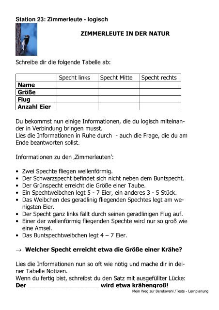 Arbeitsmaterialien zum Berufswahlpass - Berufliche Orientierung ...