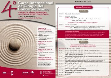Curso Internacional de Cirugía del Cáncer de Mama - Bocemtium.com