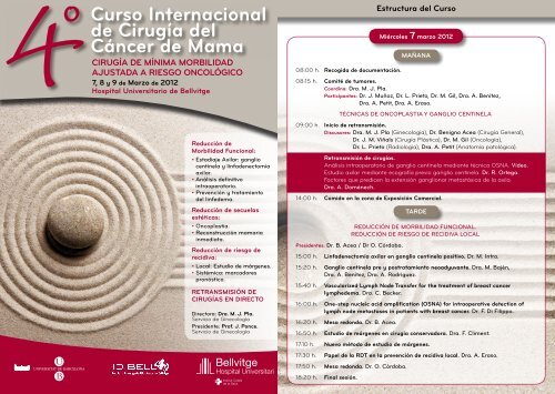 Curso Internacional de Cirugía del Cáncer de Mama - Bocemtium.com