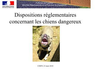 chiens dangereux - Préfecture de Vaucluse
