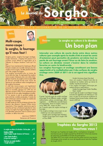 JdS N28 Web.pdf - Sud Céréales