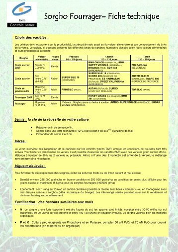 note fourrage sorgho 2011.pdf