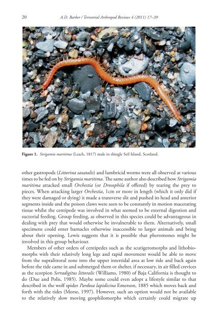 Geophilomorph centipedes and the littoral habitat - Books and ...