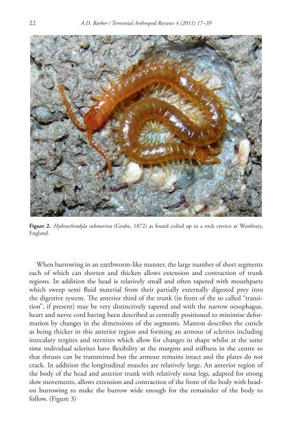 Geophilomorph centipedes and the littoral habitat - Books and ...