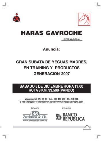 HARAS GAVROCHE - Zambrano & Cía.