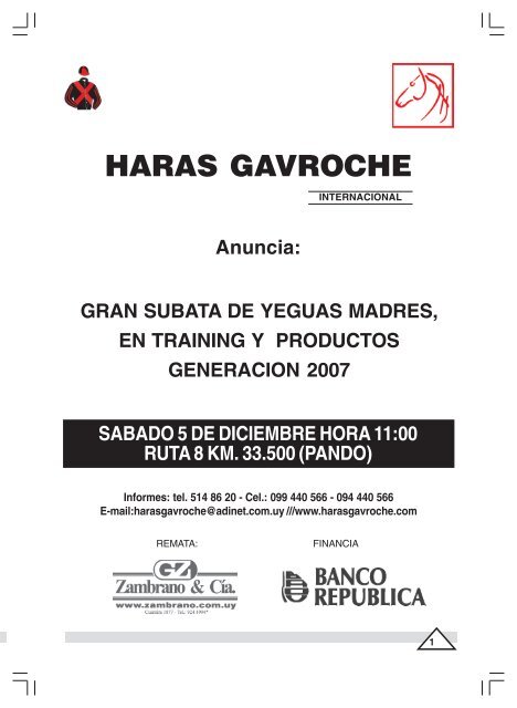 HARAS GAVROCHE - Zambrano & Cía.