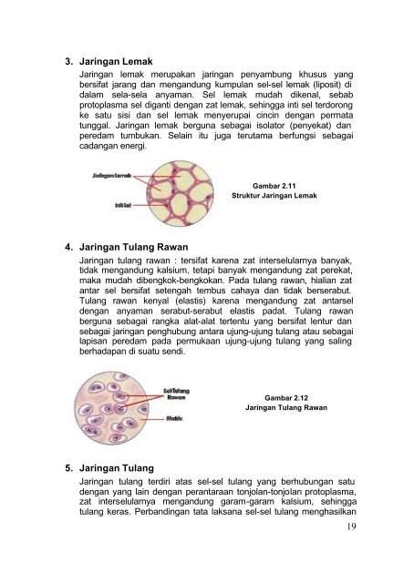 tata kecantikan kulit smk