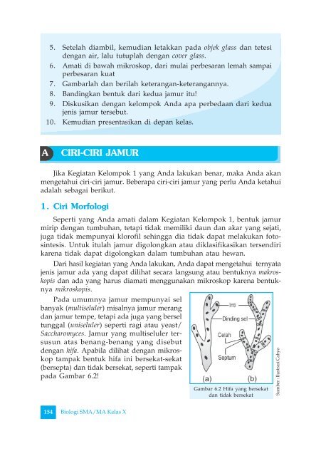 biologi 1