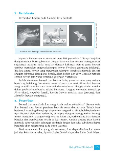 740+ Perhatikan Gambar Hewan Vertebrata Berikut Gratis