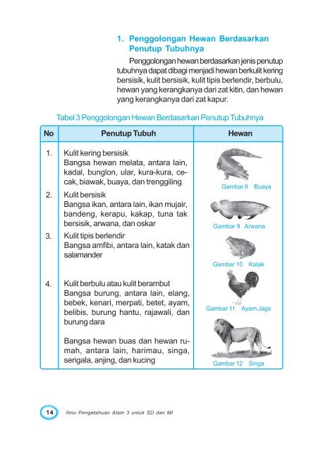 2 Persamaan Dan Perbedaa