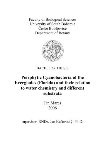 Periphytic Cyanobacteria of the Everglades (Florida) and their ...