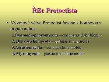 Říše Protoctista