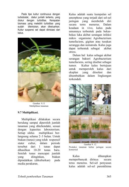 teknik pembibitan tanaman dan produksi benih jilid 2 smk