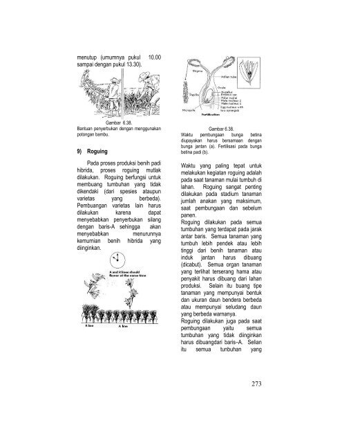 teknik pembibitan tanaman dan produksi benih jilid 2 smk