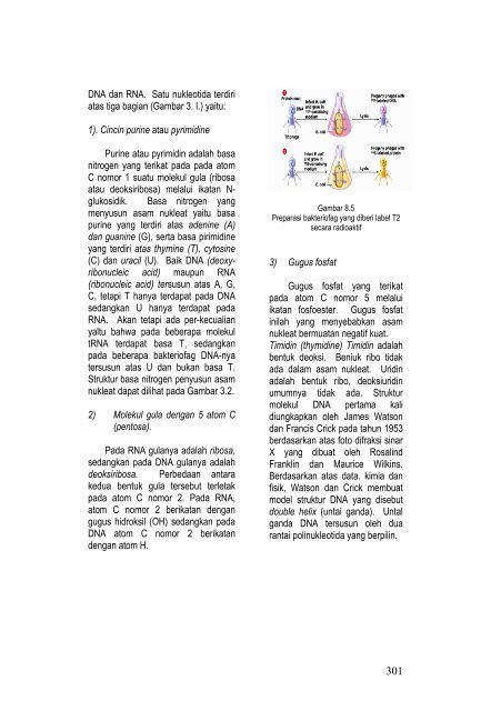 teknik pembibitan tanaman dan produksi benih jilid 2 smk