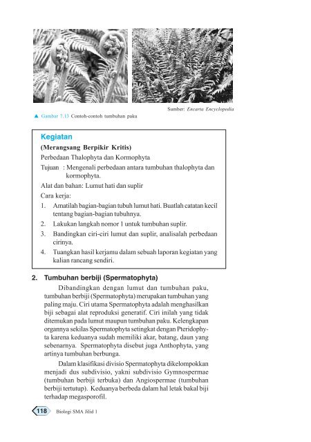Metagenesis Tumbuhan Paku Dan Skema Metagenesis Paku