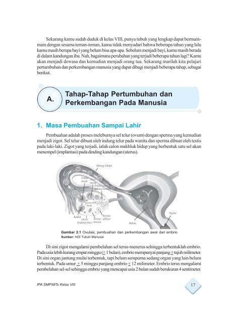 B. Sistem Pencernaan pada Manusia