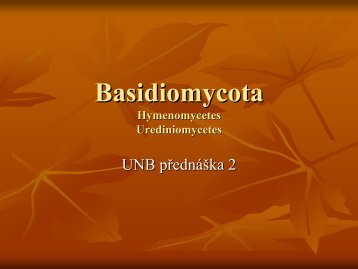 Basidiospóry