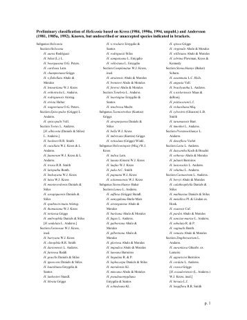 p. 1 Preliminary classification of Heliconia based on Kress (1984 ...