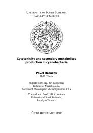 Cytotoxicity and secondary metabolites production in cyanobacteria ...