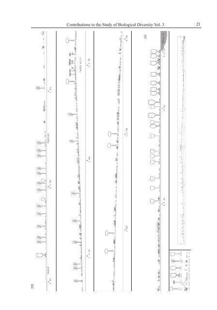 Plant Community Structure, Fire Disturbance, and Recovery in ...