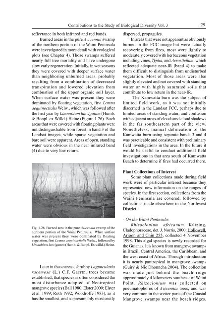 Plant Community Structure, Fire Disturbance, and Recovery in ...