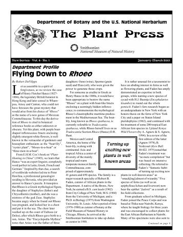 Flying Down to Rhoeo - Department of Botany - Smithsonian Institution