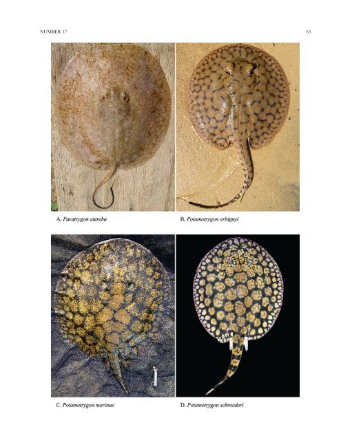 Biological Society of Washington - Department of Botany ...