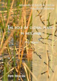 The role of clonal plants in wetlands