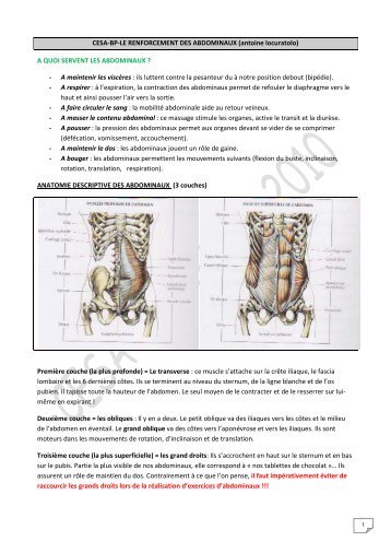 CESA-BP-LE RENFORCEMENT DES ABDOMINAUX - bp hiver 2010