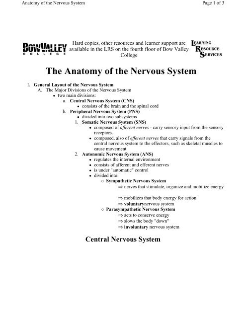 Biology 30 Anatomy of the Nervous System - Bow Valley College