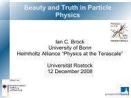 Beauty & Truth in Particle Physics - ZEUS