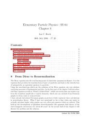 Elementary Particle Physics - SS 04 Chapter 8