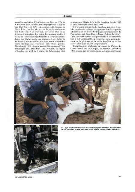 Programme d'eradication de la lucilie bouchère en Afrique du ... - IAEA