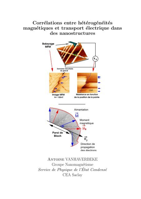 Corrélations entre hétérogénéités magnétiques et ... - iramis - CEA
