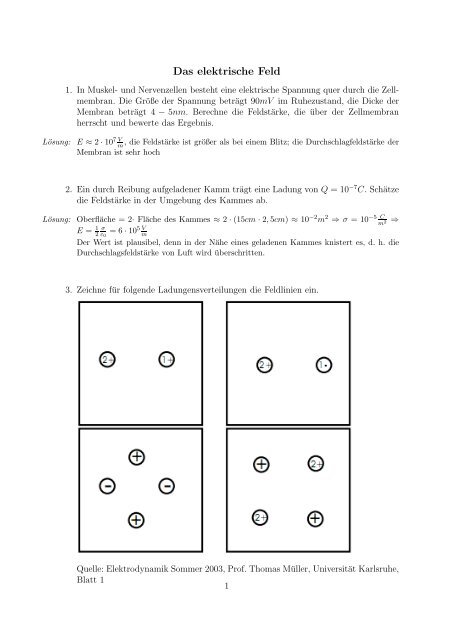 Das elektrische Feld